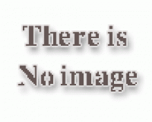 کروتون سطل4